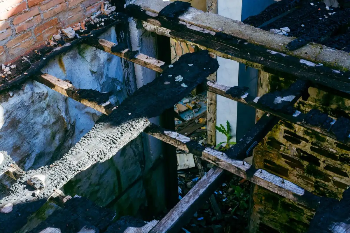Rotted sheathing and rafters exposed under a long-running roof leak in Warner Robins, GA